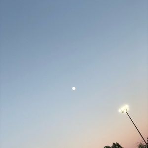 Meet your Posher, Callie